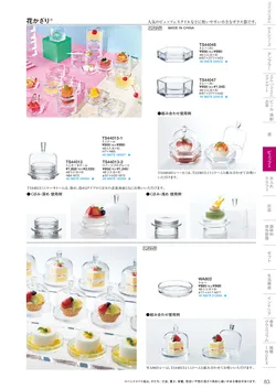 CAtalog page TSG2026-085