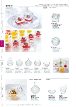CAtalog page TSG2026-086