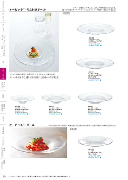 CAtalog page TSG2026-090