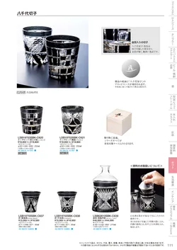 CAtalog page TSG2026-113