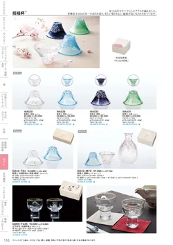 CAtalog page TSG2026-118