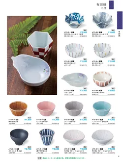 CAtalog page IKI caralog Vol.5-011