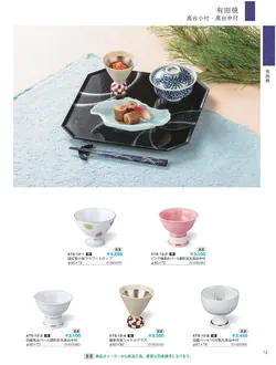 CAtalog page IKI caralog Vol.5-015