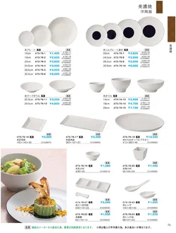 CAtalog page IKI caralog Vol.5-079