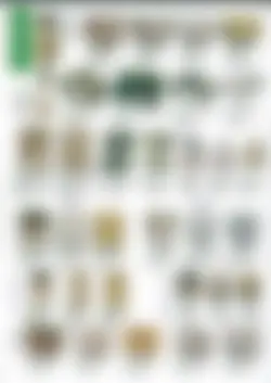 CAtalog page Japanese Tea Utensils No.39-18