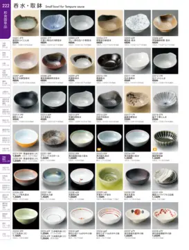 CAtalog page TOUGA vol.19-223