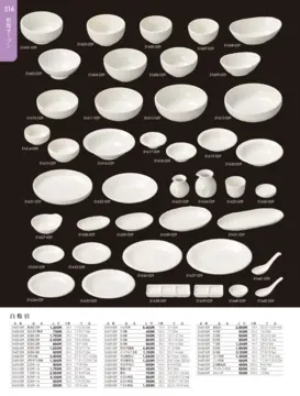 CAtalog page TOUGA vol.19-517