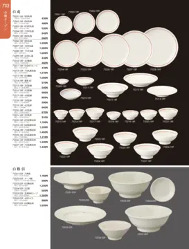 CAtalog page TOUGA vol.19-753