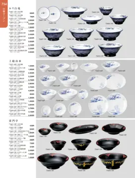 CAtalog page TOUGA vol.19-755