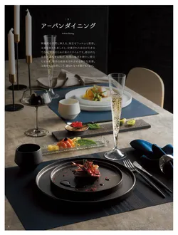 カタログページ TOUGA vol.20-009