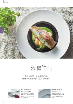 カタログページ DAIWA_vol22-158