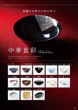 カタログページ DAIWA_vol22-239