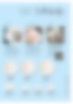 カタログページ Daitoua_oishii_vol11-23