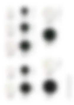 カタログページ Daitoua_oishii_vol11-25