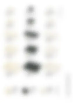 カタログページ Daitoua_oishii_vol11-29