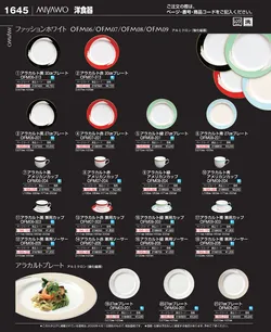 CAtalog page EBM_Vol26-1723