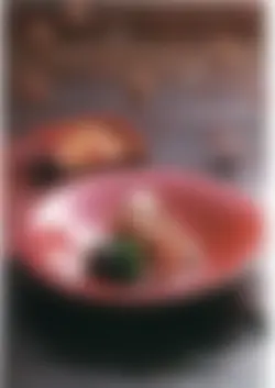 カタログページ KOYO KADEN vol.12-014