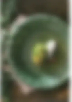 カタログページ KOYO KADEN vol.12-078