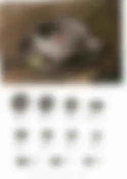 カタログページ KOYO KADEN vol.12-081