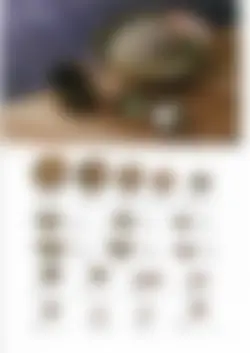 カタログページ KOYO KADEN vol.12-114