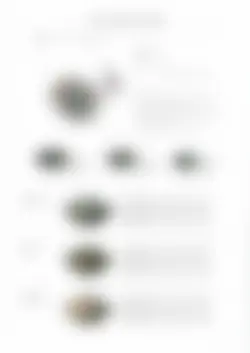 カタログページ KOYO KADEN vol.12-149