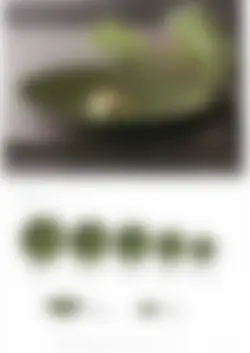 カタログページ KOYO ORIGINAL TABLEWARE vol.25-015