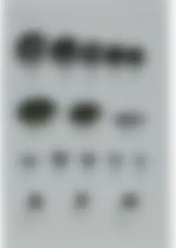 カタログページ KOYO ORIGINAL TABLEWARE vol.25-135