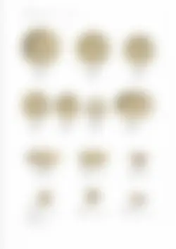 カタログページ KOYO ORIGINAL TABLEWARE vol.25-142