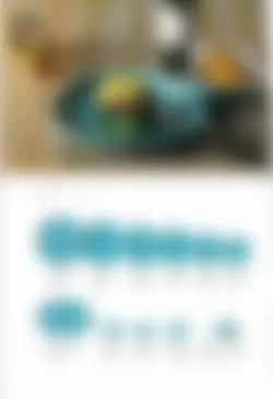 カタログページ KOYO ORIGINAL TABLEWARE vol.25-160