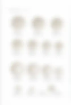 カタログページ KOYO ORIGINAL TABLEWARE vol.25-194