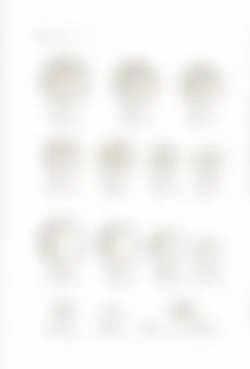 カタログページ KOYO ORIGINAL TABLEWARE vol.25-196