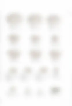 カタログページ KOYO ORIGINAL TABLEWARE vol.25-197