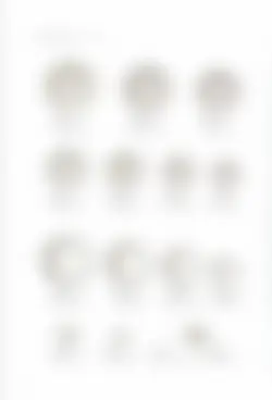 カタログページ KOYO ORIGINAL TABLEWARE vol.25-198