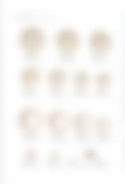 カタログページ KOYO ORIGINAL TABLEWARE vol.25-200