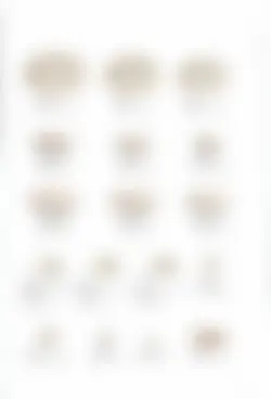 カタログページ KOYO ORIGINAL TABLEWARE vol.25-201