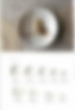 カタログページ KOYO ORIGINAL TABLEWARE vol.25-206