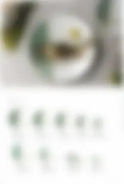 カタログページ KOYO ORIGINAL TABLEWARE vol.25-207