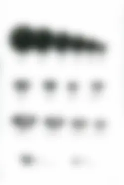 カタログページ KOYO ORIGINAL TABLEWARE vol.25-213