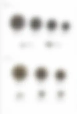 カタログページ KOYO ORIGINAL TABLEWARE vol.25-216