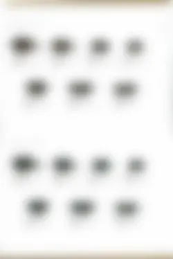 カタログページ KOYO ORIGINAL TABLEWARE vol.25-235