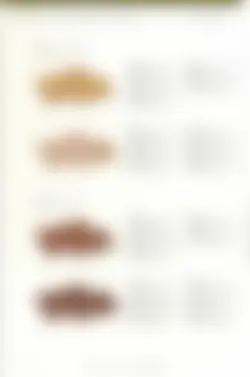 カタログページ KOYO ORIGINAL TABLEWARE vol.25-266