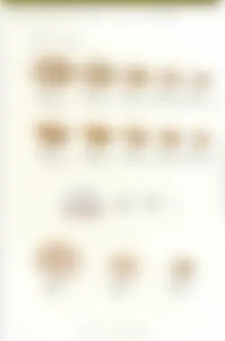 カタログページ KOYO ORIGINAL TABLEWARE vol.25-268