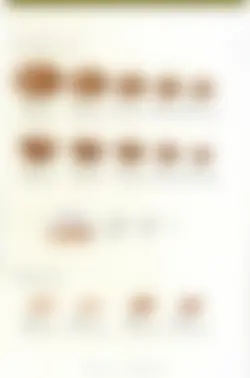 カタログページ KOYO ORIGINAL TABLEWARE vol.25-269