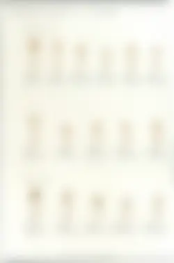 カタログページ KOYO ORIGINAL TABLEWARE vol.25-272