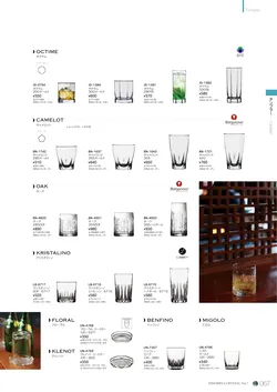 CAtalog page NinomiyaCrystal_Vol7＋-068