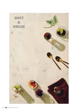 CAtalog page NinomiyaCrystal_Vol7＋-217