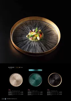 CAtalog page NinomiyaCrystal_Vol7＋-235