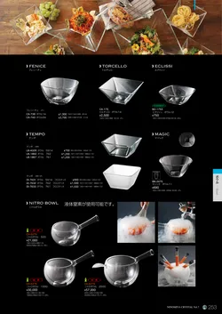 CAtalog page NinomiyaCrystal_Vol7＋-254