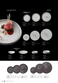 CAtalog page NinomiyaCrystal_Vol7＋-269