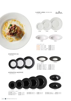 CAtalog page NinomiyaCrystal_Vol7＋-295